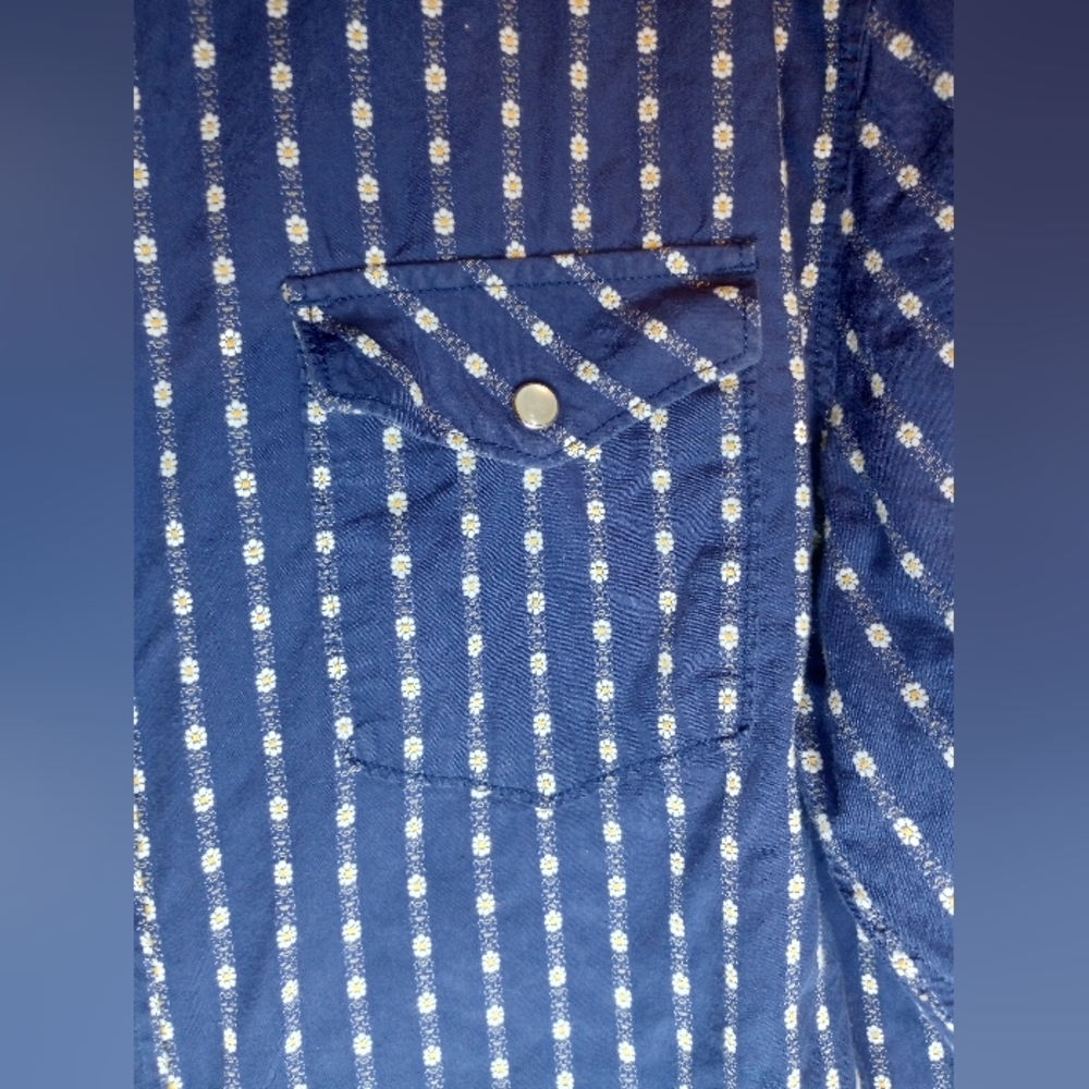 Age Of Wisdom Western Blue Daisy Flower Stripe Pearl Snap Shirt Country Cowboy - Picture 3 of 8